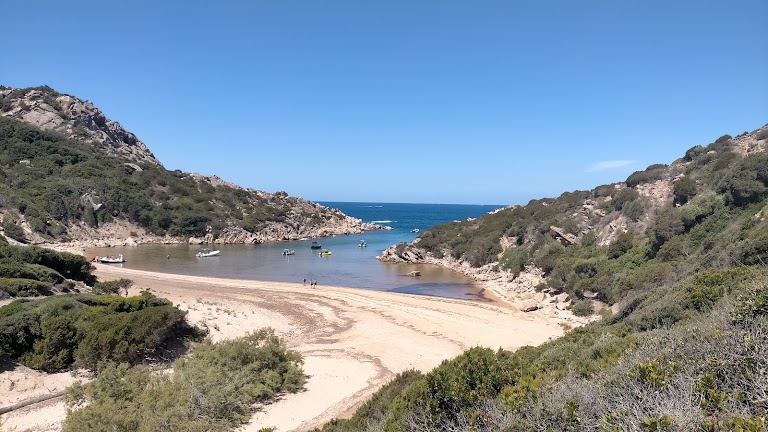 Plage de Cala d’Agulia Plage de Cala d’Agulia