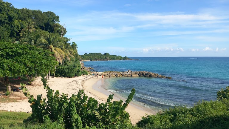 Plage de l’Anse Vinaigri Plage de l’Anse Vinaigri