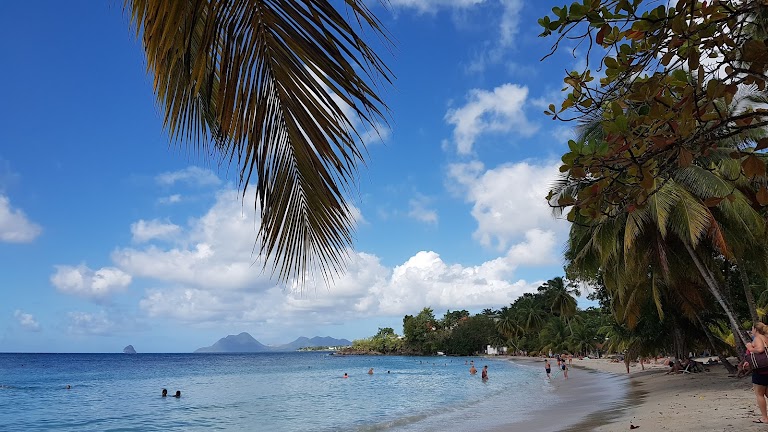 Anse Figuier, Martinique Anse Figuier, Martinique