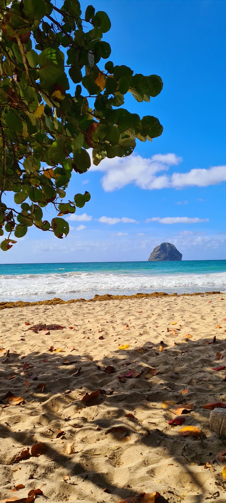 Plage de Anse Cafard Plage de Anse Cafard