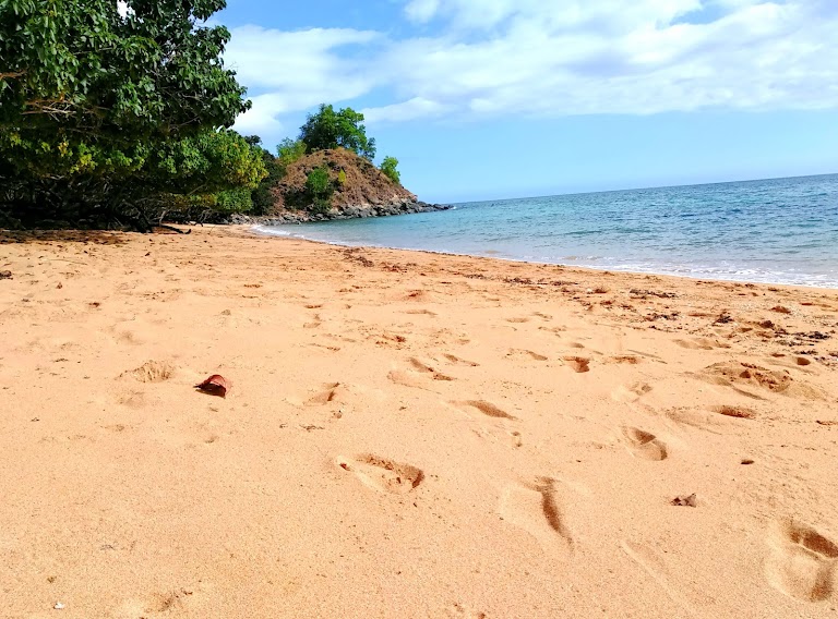 Plage des Tortues Plage des Tortues