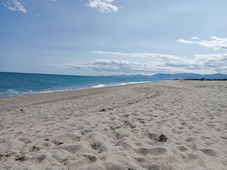 Plage sauvage Plage sauvage