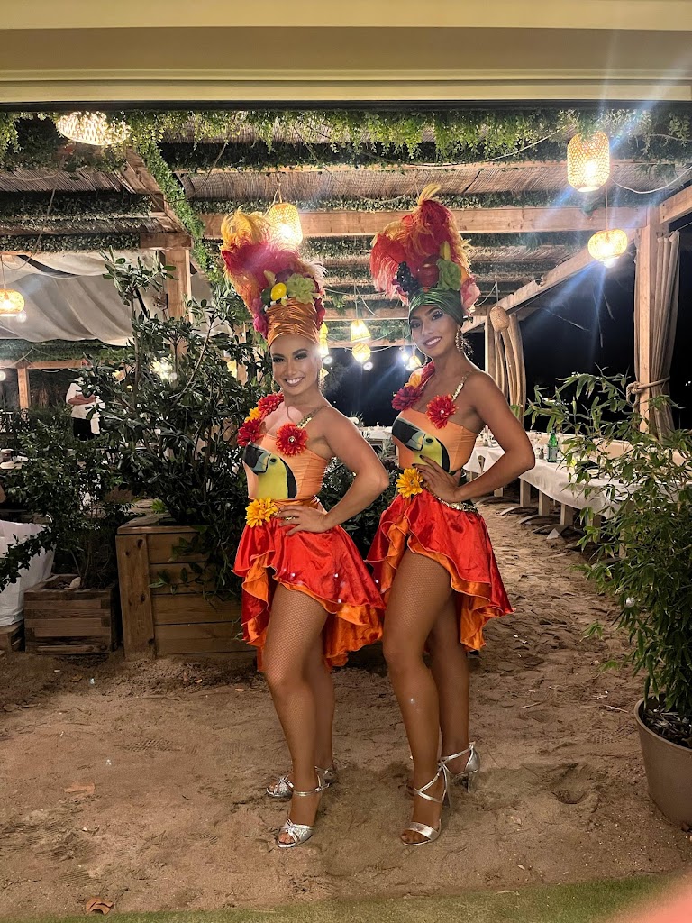 Tropicolors Show Tropicolors Show