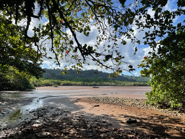 Les Naturalistes de Mayotte Les Naturalistes de Mayotte