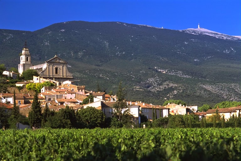 Domaine de Bélézy Domaine de Bélézy