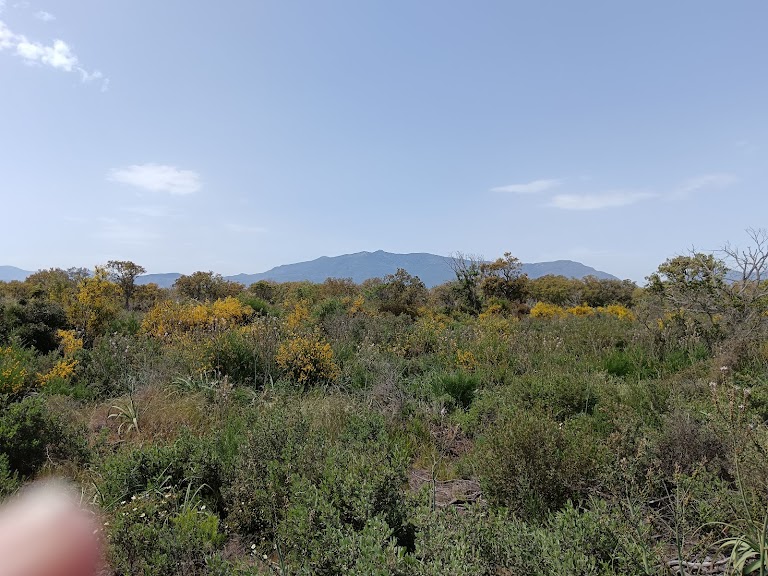 Plage Corse seconda tappa Plage Corse seconda tappa