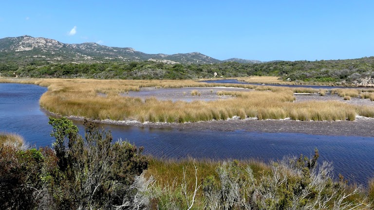 Stagnu d’A Testarella – Etang de la Testarella Stagnu d’A Testarella – Etang de la Testarella