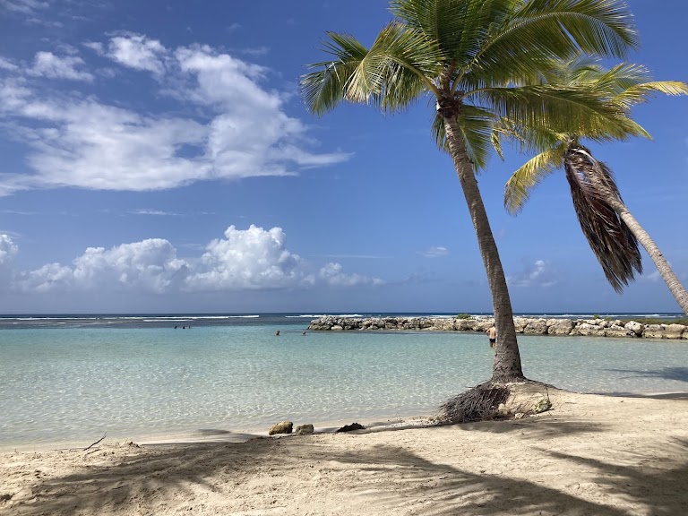 Plage du bourg – Sainte-Anne Plage du bourg – Sainte-Anne