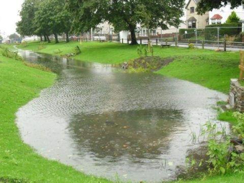 Experts ‘disappointed’ drainage regulation update Experts ‘disappointed’ drainage regulation update