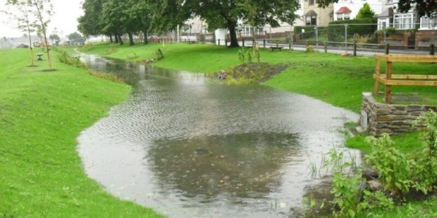 Experts ‘disappointed’ drainage regulation update Experts ‘disappointed’ drainage regulation update