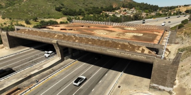 California Begins Final Phase of World’s Largest Wildlife Crossing California Begins Final Phase of World’s Largest Wildlife Crossing