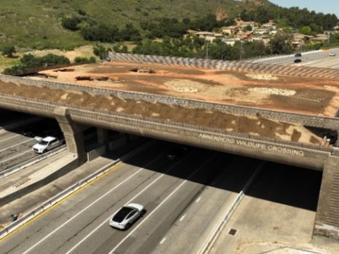 California Begins Final Phase of World’s Largest Wildlife Crossing California Begins Final Phase of World’s Largest Wildlife Crossing