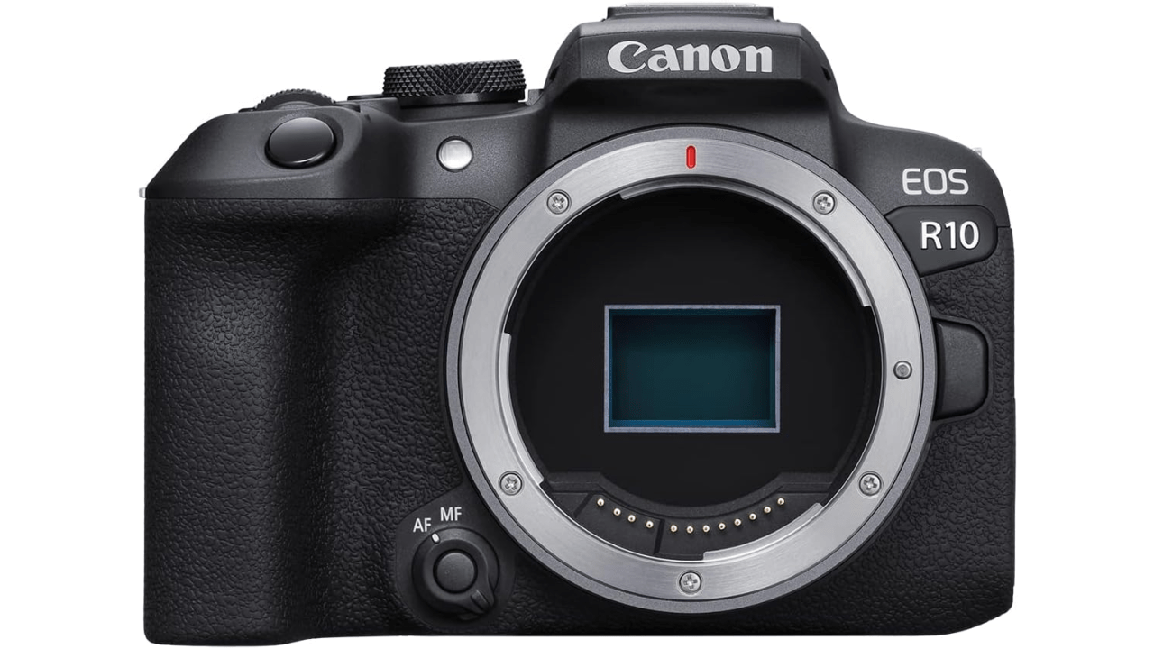 The best cameras for 2025 The best cameras for 2025