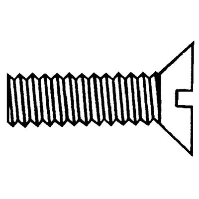 1/4-20X2-1/2 SL FH SS MS 100/B