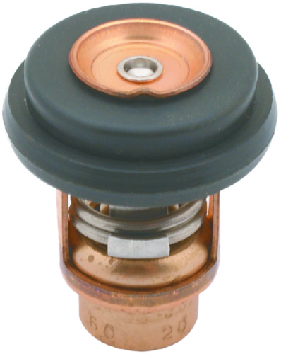 TSTAT KIT MER-NIS-TOH 9.9-30HP 8M0119207