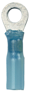 #10 BLUE RING (100)