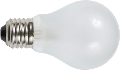 34V 25W MEDIUM SCREW BULB (2)