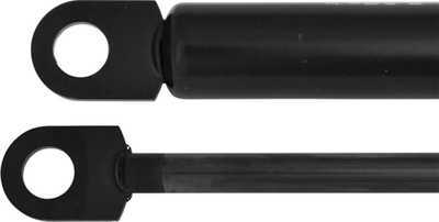 GAS STRUT
