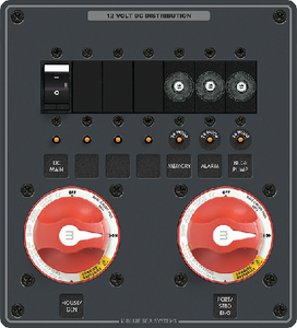 DC PANEL BATTERY MGMT MINI 2