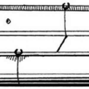 BLUNT NOSE INFLATABLE COVER BLUNT NOSE INFLATABLE COVER