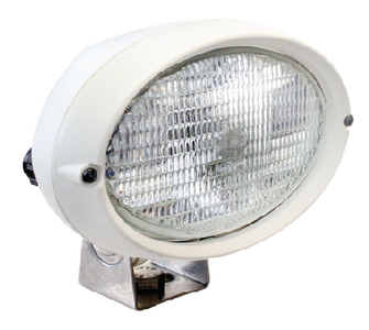 DECK FLOOD OVAL 100 WHT 12V
