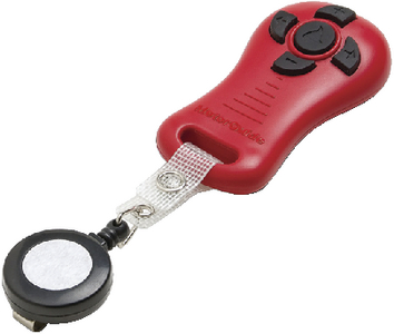 KEY FOB ASSY