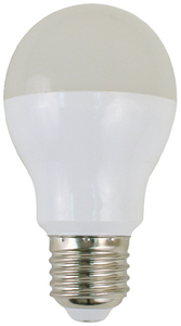 LED BULB A19 5W 12/24V WW 420L