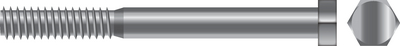 1/4-20X5 HXCAP SCR SS 10/BG