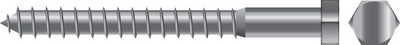 5/16 X 2 LAG SCREW 2/BG