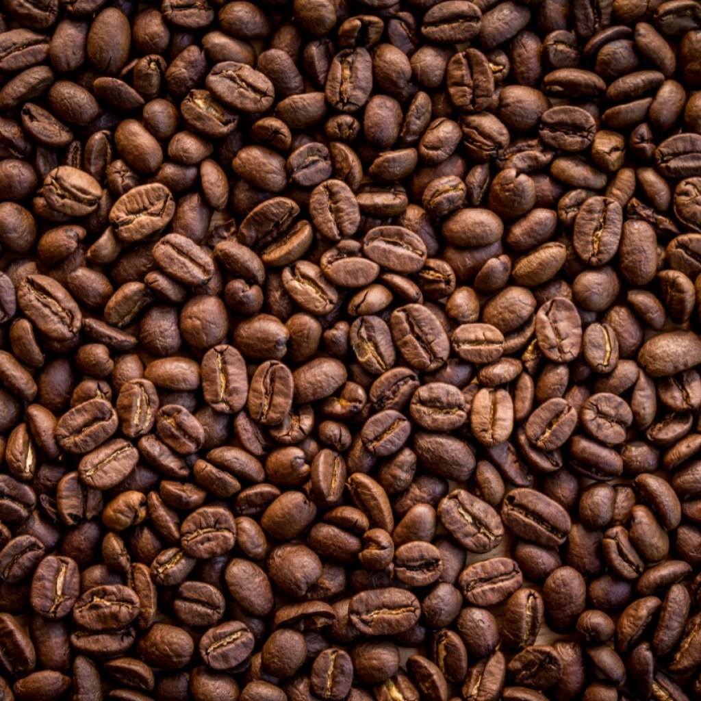 A Symphony of Aromas A Symphony of Aromas