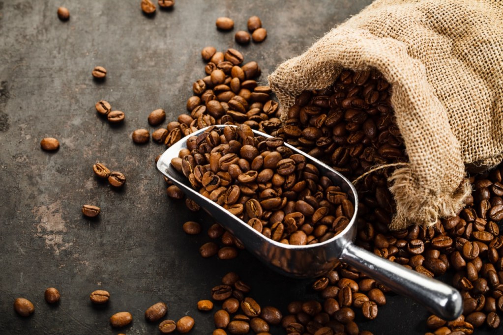 The Great Coffee Bean Escape The Great Coffee Bean Escape