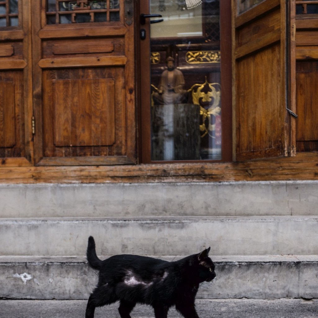 The Secret Wanderer The Secret Wanderer