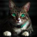 Guardian of Emerald Eyes Guardian of Emerald Eyes
