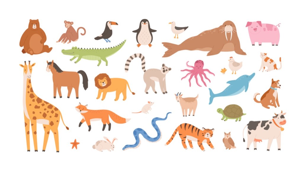 Wild Harmony Wild Harmony