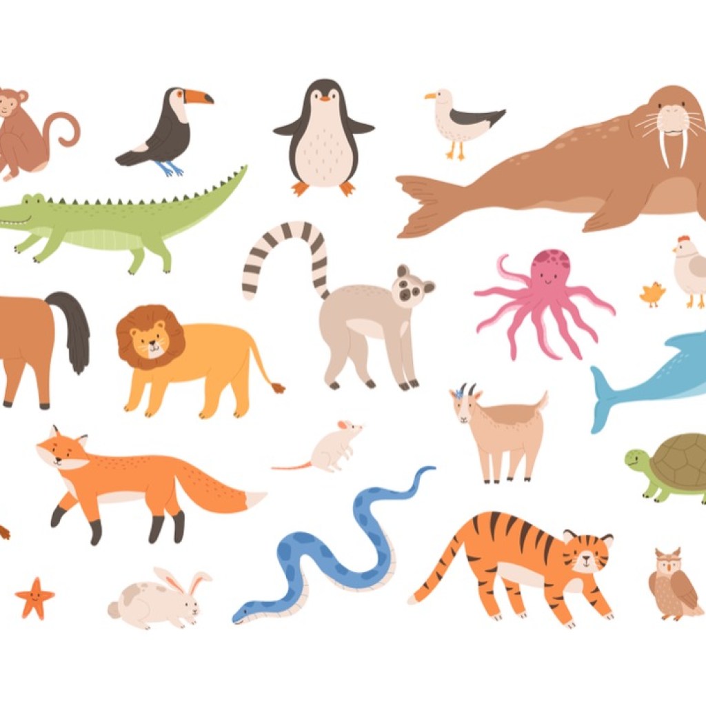 Wild Whispers Wild Whispers