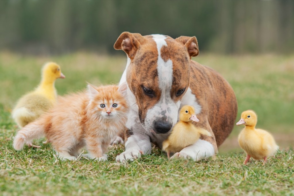 The Unlikely Friendship Club The Unlikely Friendship Club