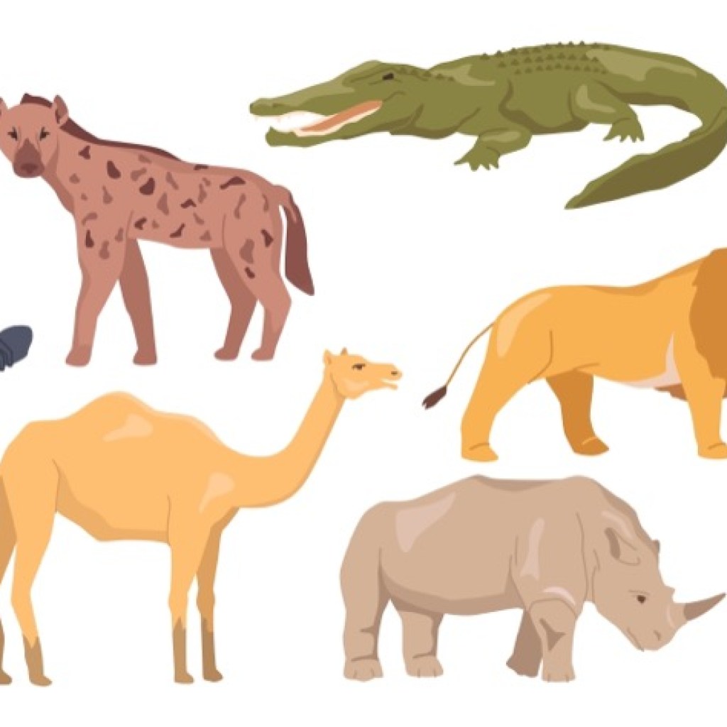 Wild Symphony Wild Symphony