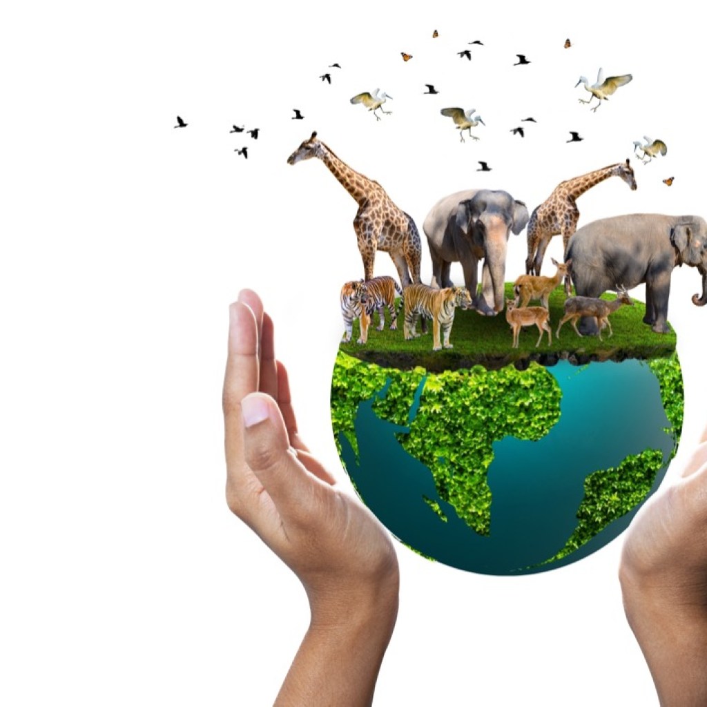 Guardians of Our Planet Guardians of Our Planet