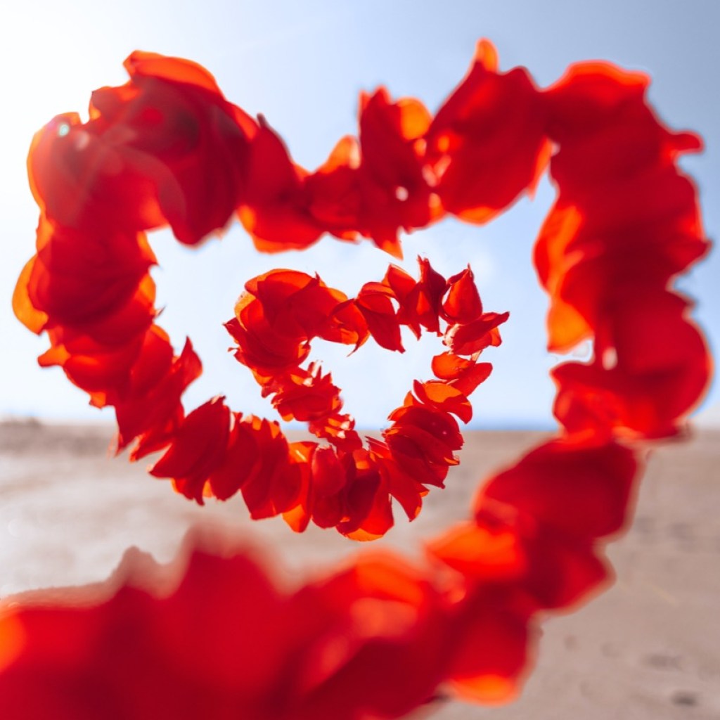 Heart in the Wind Heart in the Wind