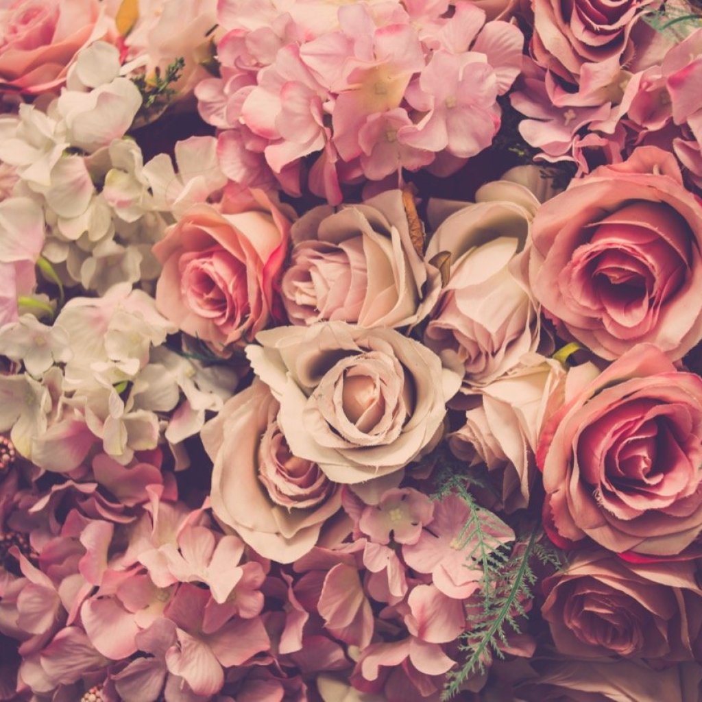 Whispers of Blooms Whispers of Blooms