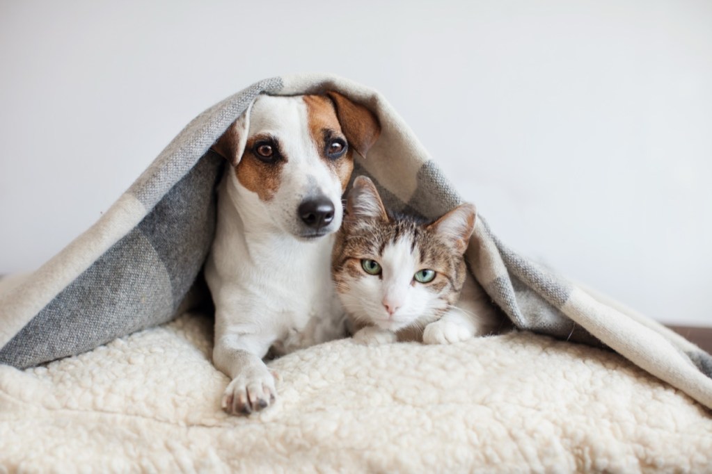 Best of Friends Best of Friends