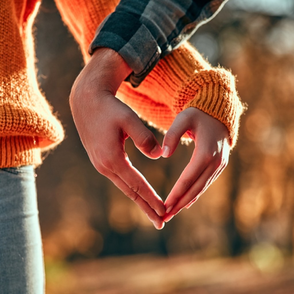 Autumn Affection Autumn Affection