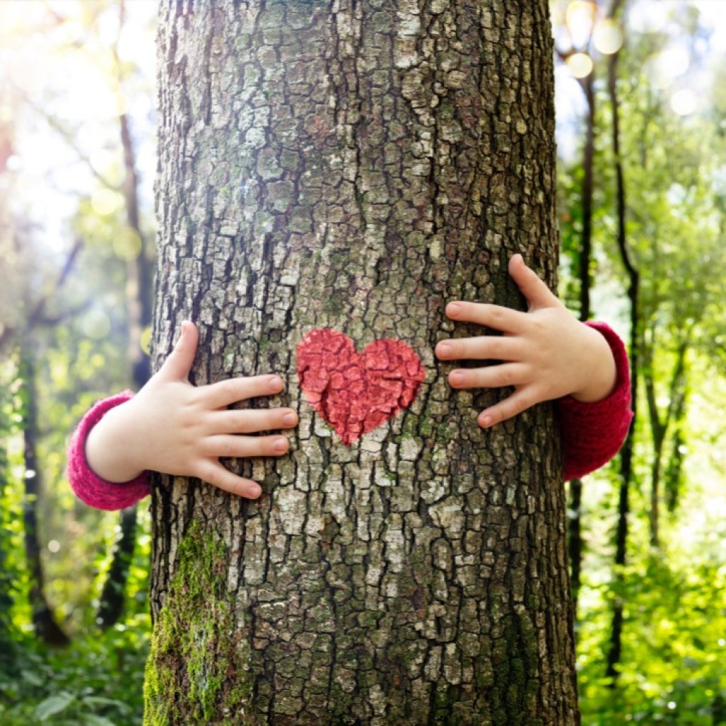 Nature’s Warm Embrace Nature’s Warm Embrace