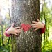 Nature’s Warm Embrace Nature’s Warm Embrace
