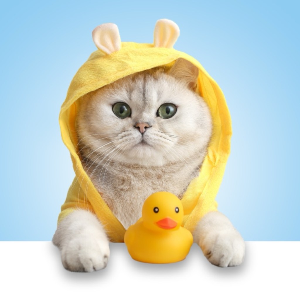 Paws and Quacks Paws and Quacks