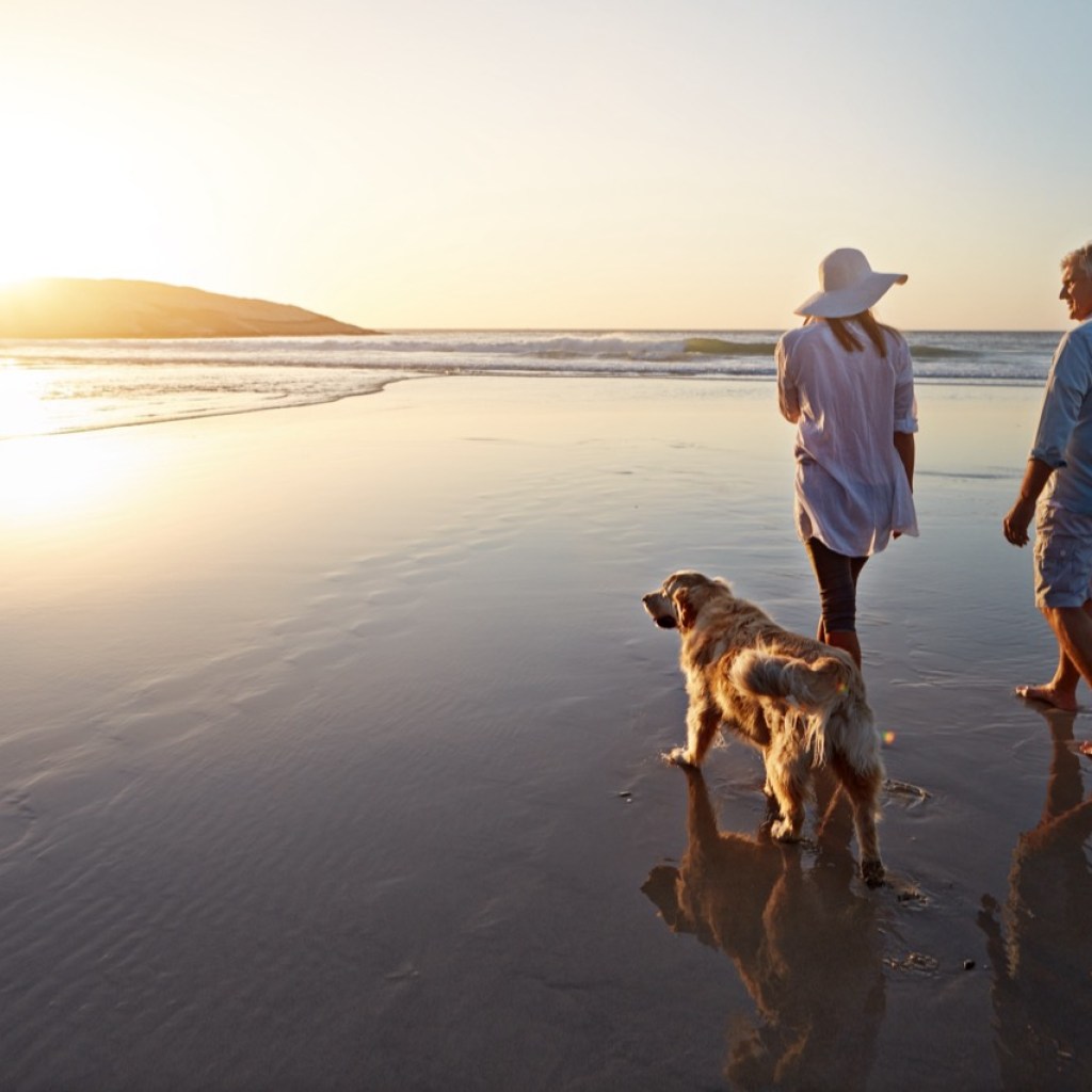 Sunset Strolls Sunset Strolls