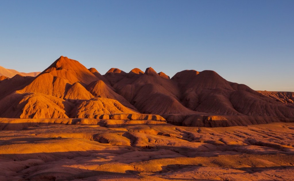 Whispers of the Desert Whispers of the Desert