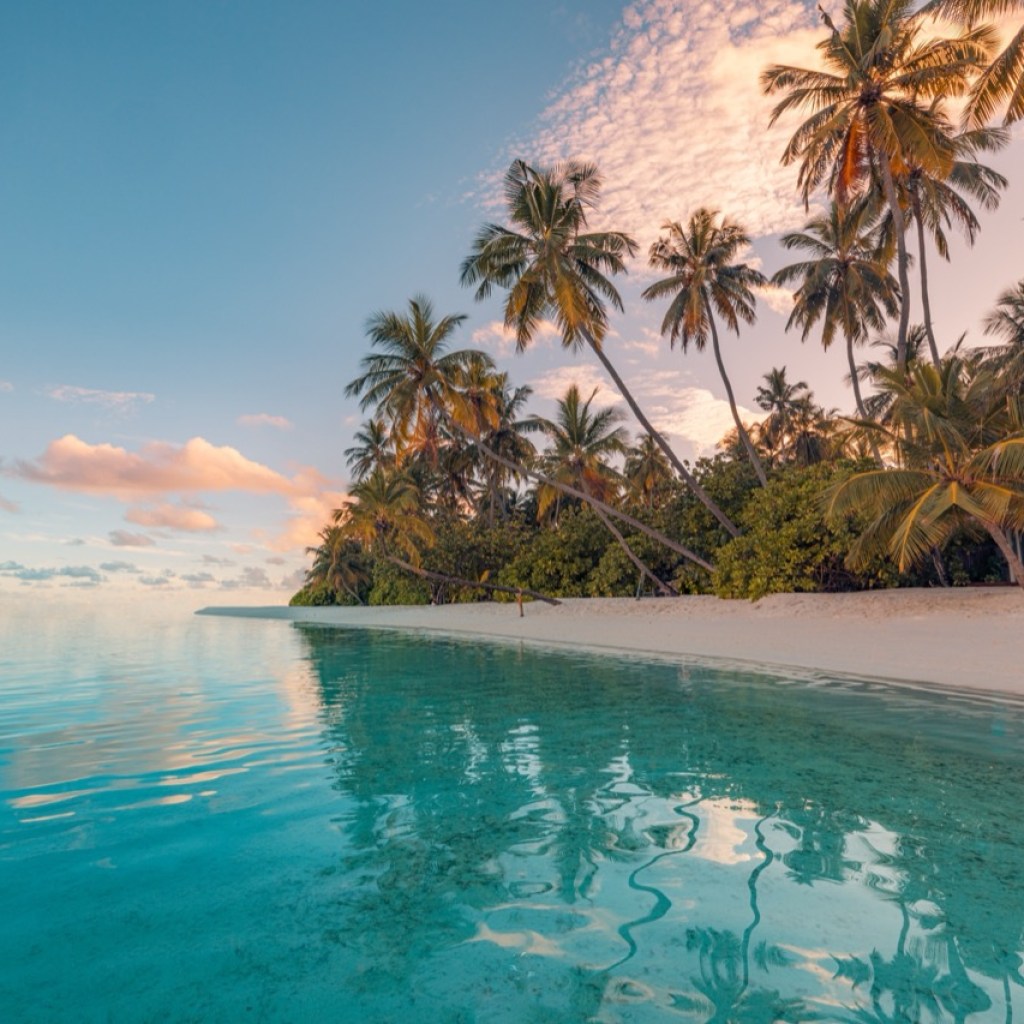 Tropical Serenity Tropical Serenity