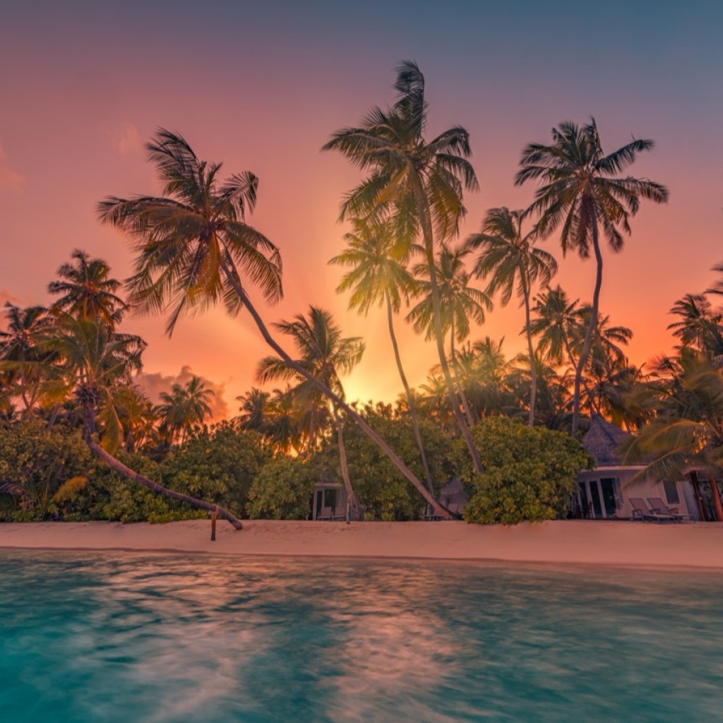 Whispers of Paradise Whispers of Paradise