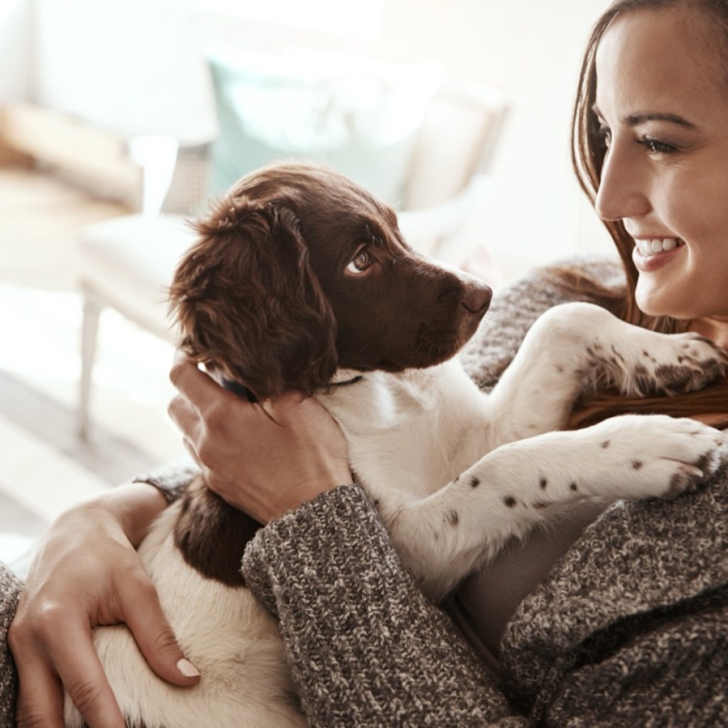 Paws and Laughs Paws and Laughs